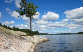 В Калининградской области 21,7 млн рублей выделили на очистку северной части Верхнего озера
