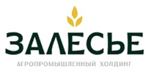 Залесье