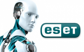 ESET: каждая десятая компания Южного федерального округа столкнулась с целевыми кибератаками