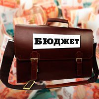 Дефицит бюджета РФ за январь достиг 0,4% ВВП